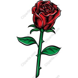 Elegant Red Rose