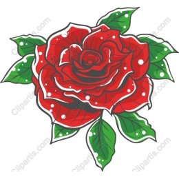 Red Rose