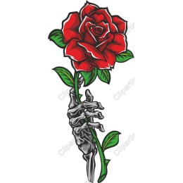 Skeletal Rose work