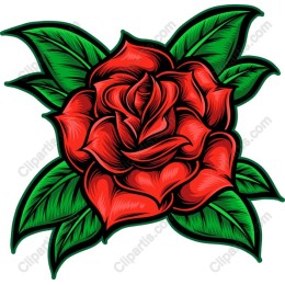 Elegant Red Rose