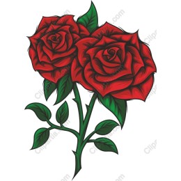 Elegant Red Roses