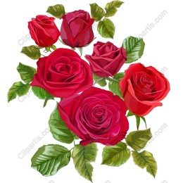  Roses - Elegant Floral Digital Art