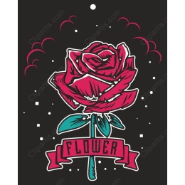 Vibrant Pink Rose