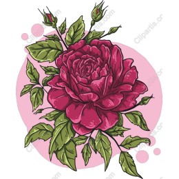 Vintage Rose