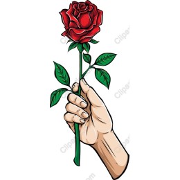 Elegant Red Rose Hand