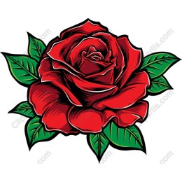 Red Rose