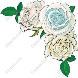 Elegant Three Roses
