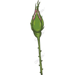 Elegant Green Bud
