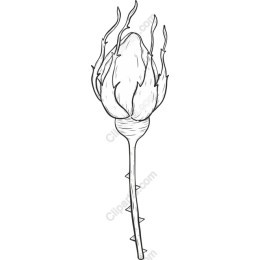Elegant Thorned Flower