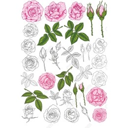 Rose Bundle - Clipart