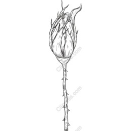 Thorny Rosebud