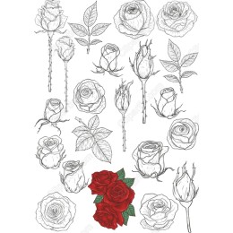 Roses Collection - Files