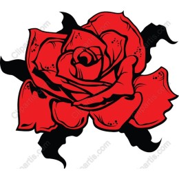 Bold Red Rose