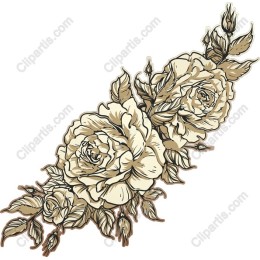 Exquisite Floral Roses