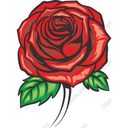 Lifelike Red Rose