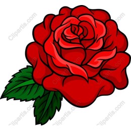 Red Rose