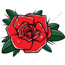 Vibrant Red Rose
