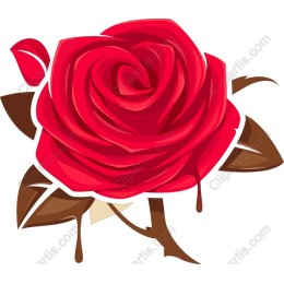 Stunning Red Rose