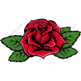Elegant Red Rose