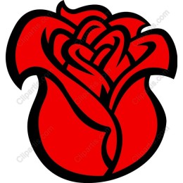 Elegant Red Rose
