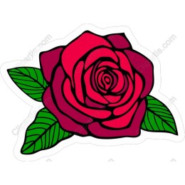 Vibrant Rose