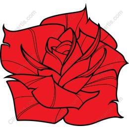 Elegant Red Rose