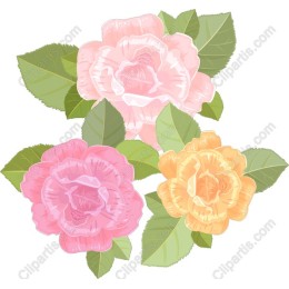 Floral Elegance: Rose Set