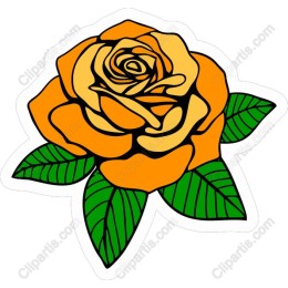 Vibrant Orange Rose