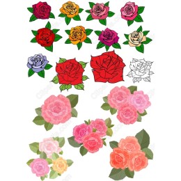 Rose Bundle