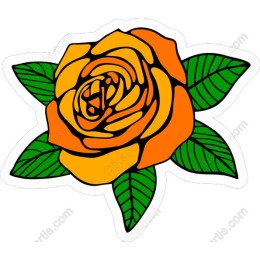 Sunny Orange Rose