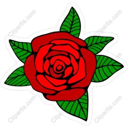 Red Rose