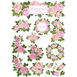  Floral Clipart Bundle - Elegant Pink Roses Set