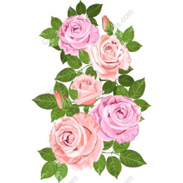 Elegant Pink Rose