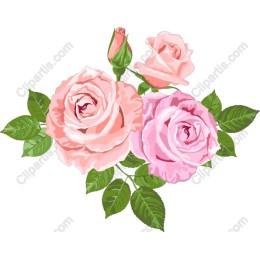 Exquisite Pink Rose Bouquet