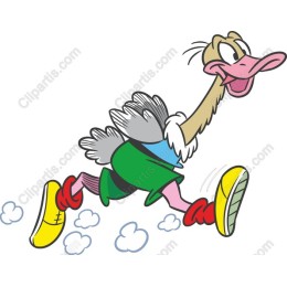 Playful Ostrich