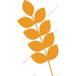 Vibrant Orange Leaf Branch
