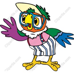 Colorful Cartoon Bird