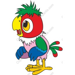 Colorful Cartoon Parrot