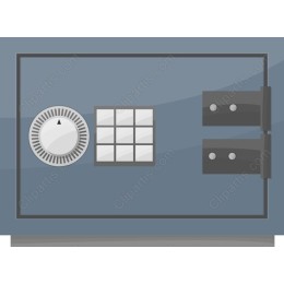 Premium Safe