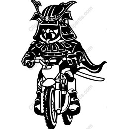 Samurai Biker