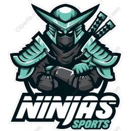Fierce Ninja Sports Mascot