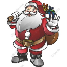 Cheerful Santa Claus