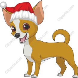 Charming Chihuahua in Santa Hat