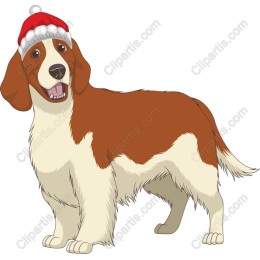 Holiday Hound