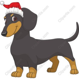 Festive Dachshund