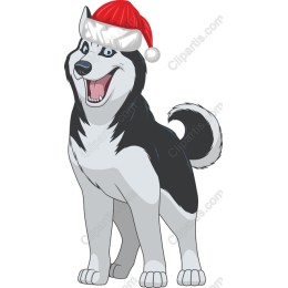 Festive Husky