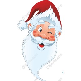 Joyful Santa Claus