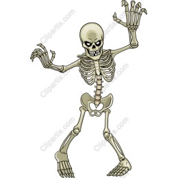 Vibrant Skeleton