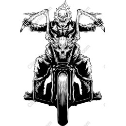 Fierce Skull Rider Motorcycle