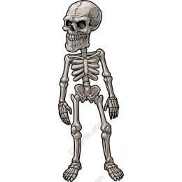 Intricate Skeleton